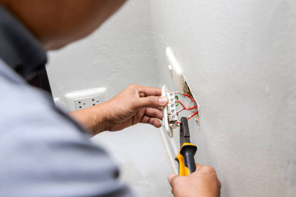 Best Electric Panel Repair  in Auburn Hills, MI